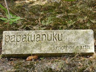 13649135_877516405685670_2099707770_n